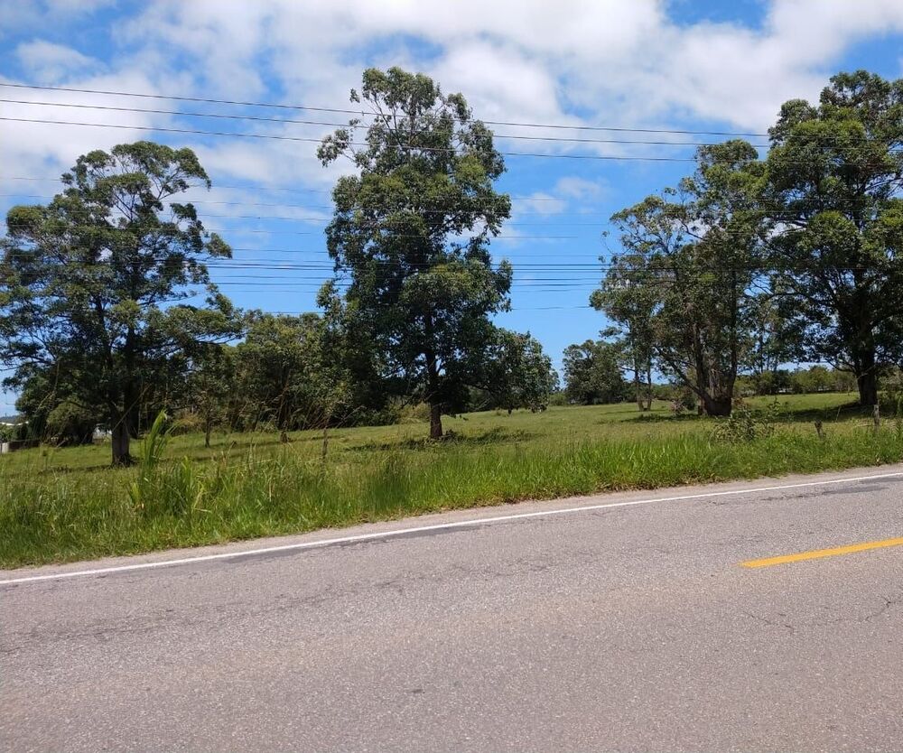 Terreno, 8 hectares - Foto 6