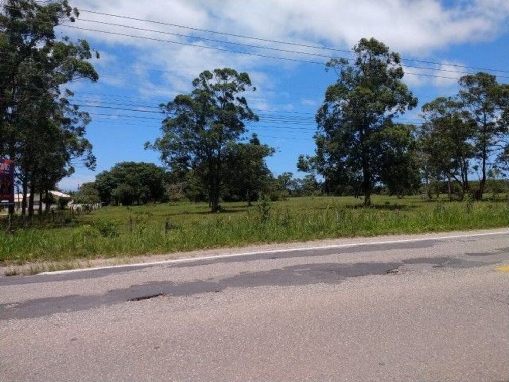 Terreno, 8 hectares - Foto 3