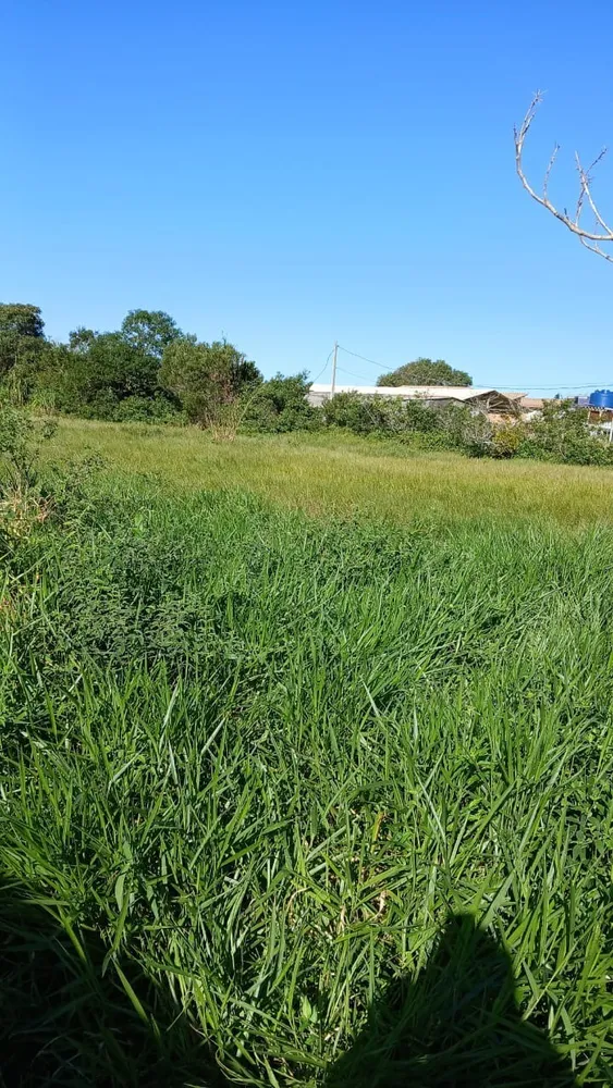 Terreno, 4773 m² - Foto 5
