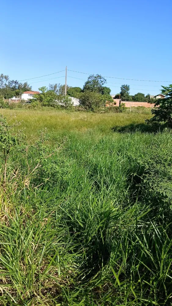 Terreno, 4773 m² - Foto 8