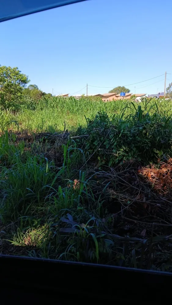 Terreno, 4773 m² - Foto 6