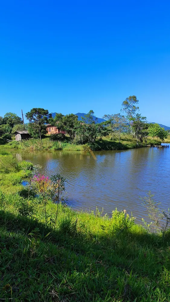 Terreno, 10 hectares - Foto 9
