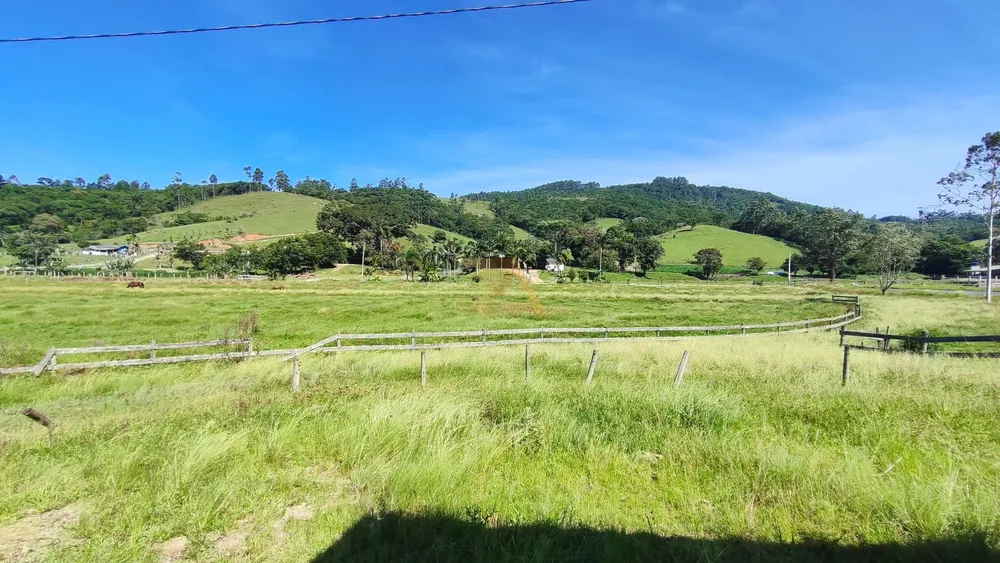 Terreno, 10 hectares - Foto 4