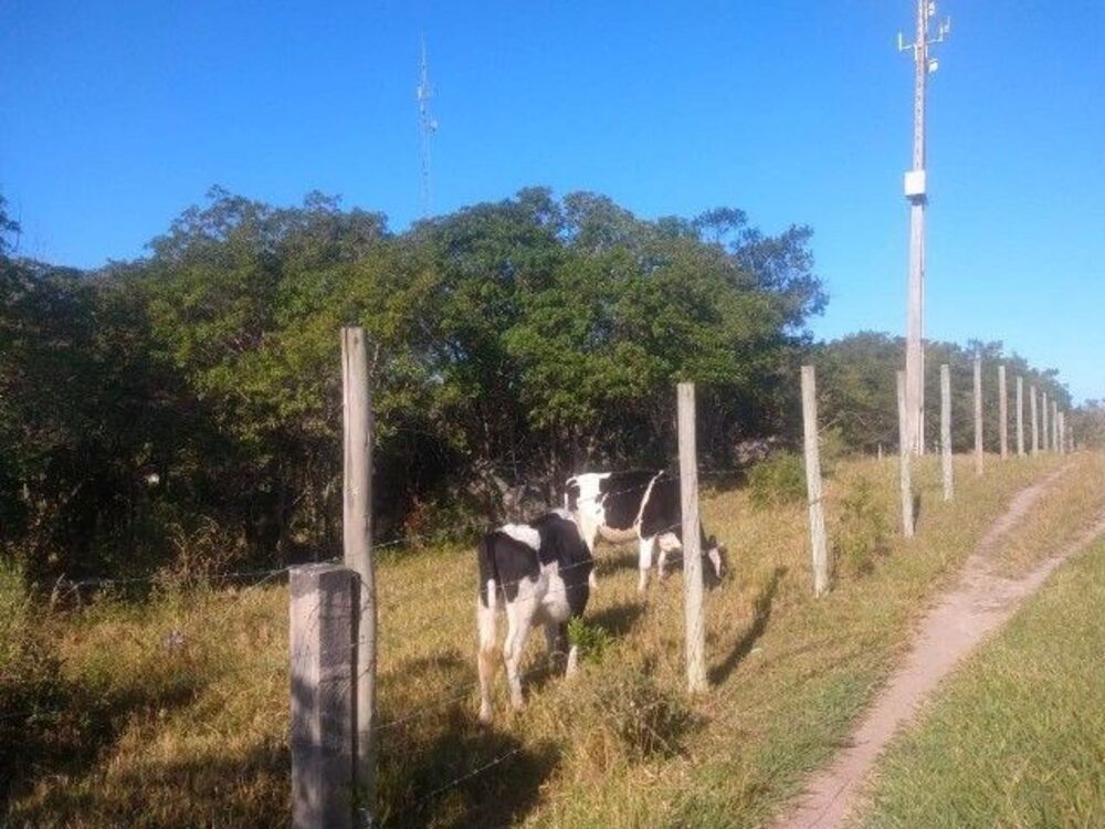 Terreno, 2040 m² - Foto 19