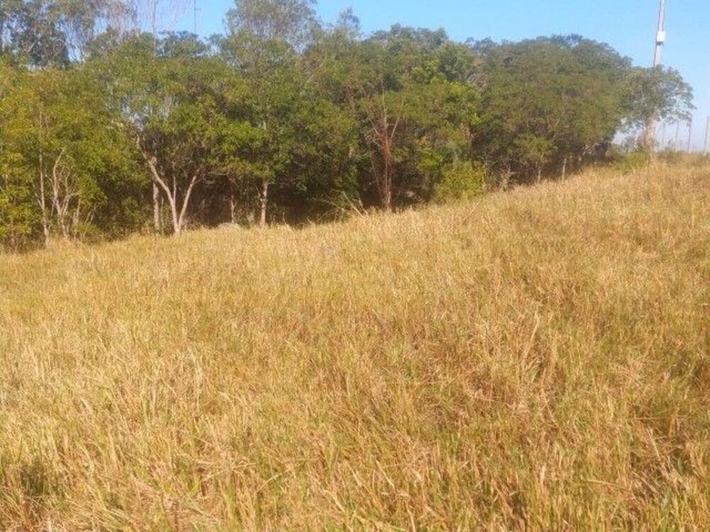 Terreno, 2040 m² - Foto 7