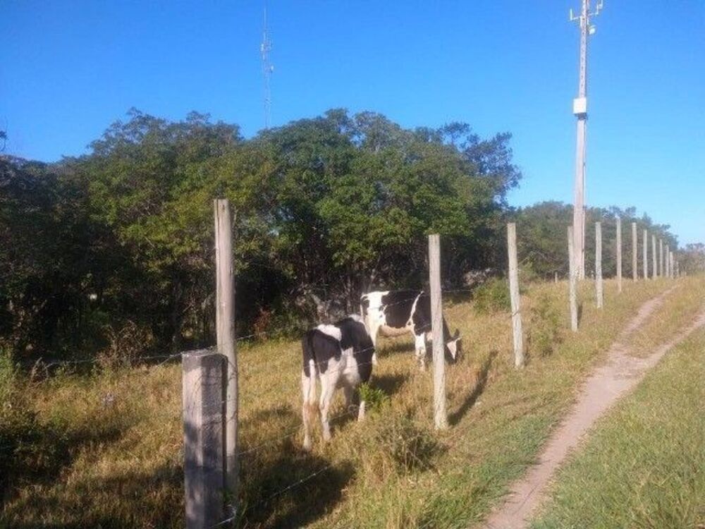 Terreno, 2040 m² - Foto 9