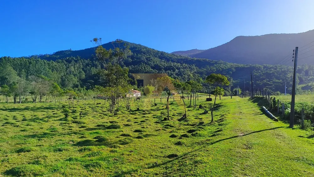 Sítio, 2 quartos, 2 hectares - Foto 11