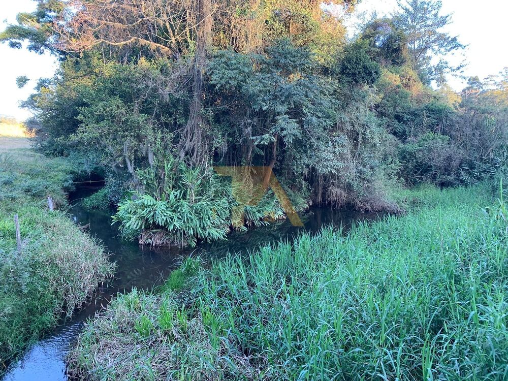 Sítio, 3 quartos - Foto 2