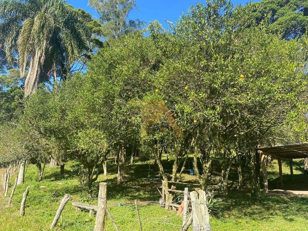 Sítio, 3 quartos - Foto 12