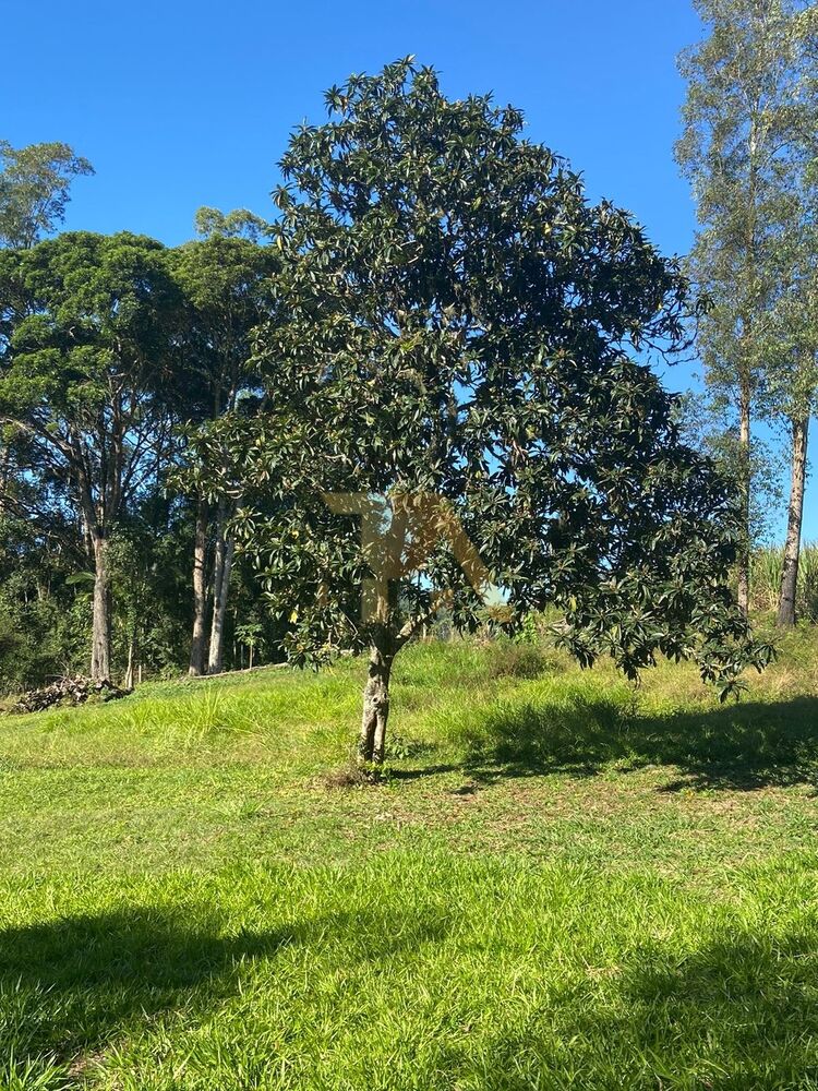 Sítio, 3 quartos - Foto 10