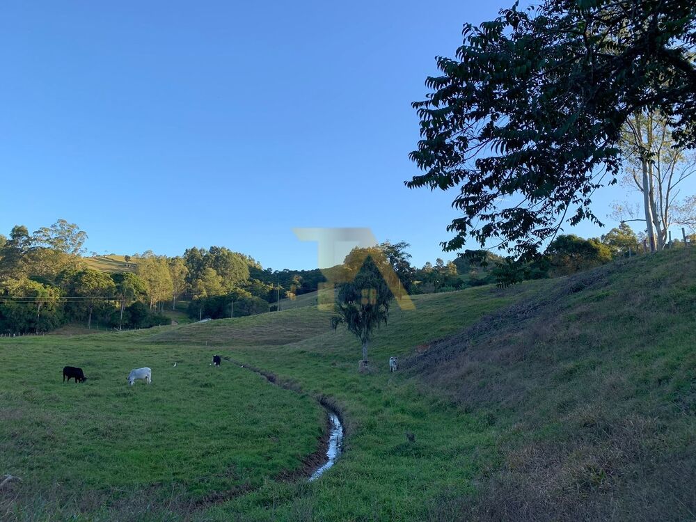 Sítio, 3 quartos - Foto 22