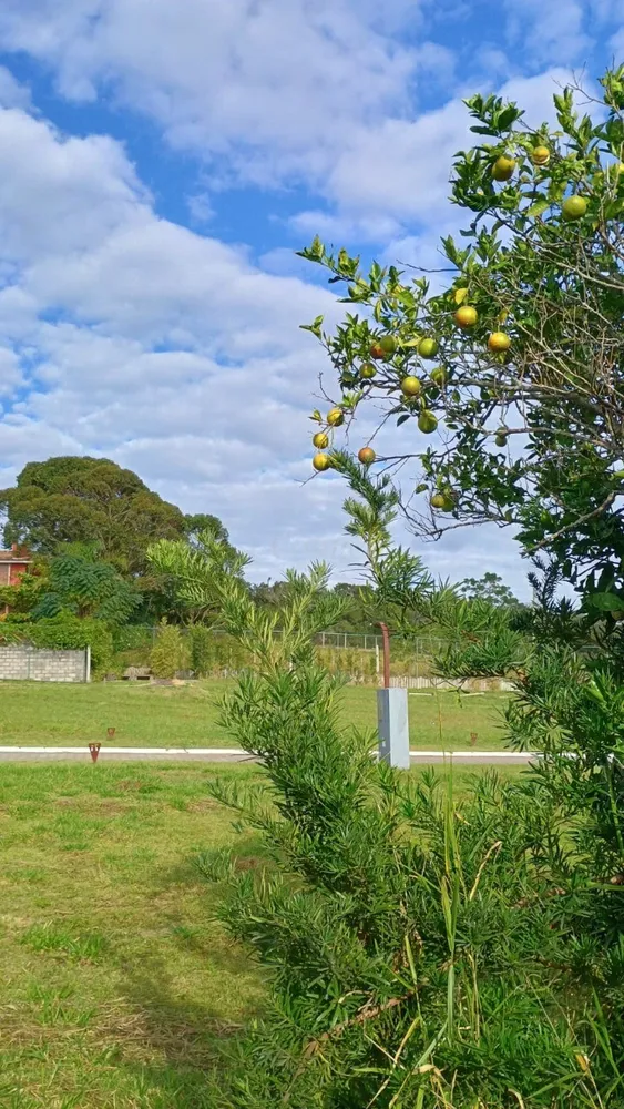 Terreno, 220 m² - Foto 2