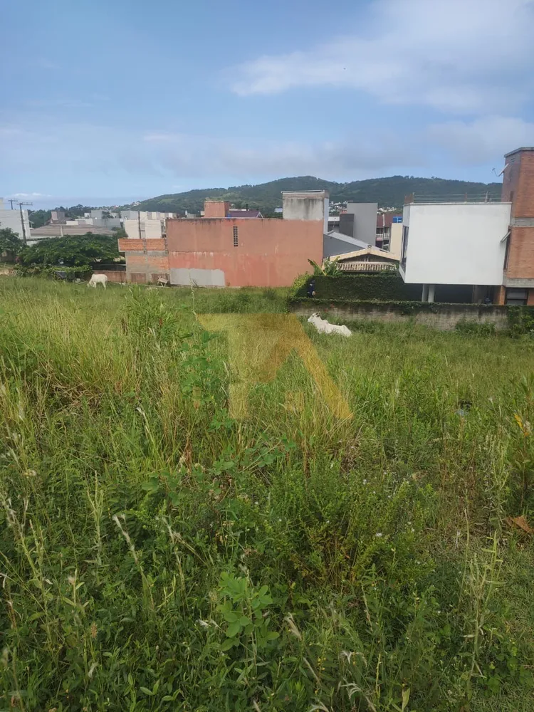 Terreno, 299 m² - Foto 1