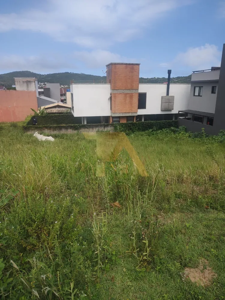 Terreno, 299 m² - Foto 3