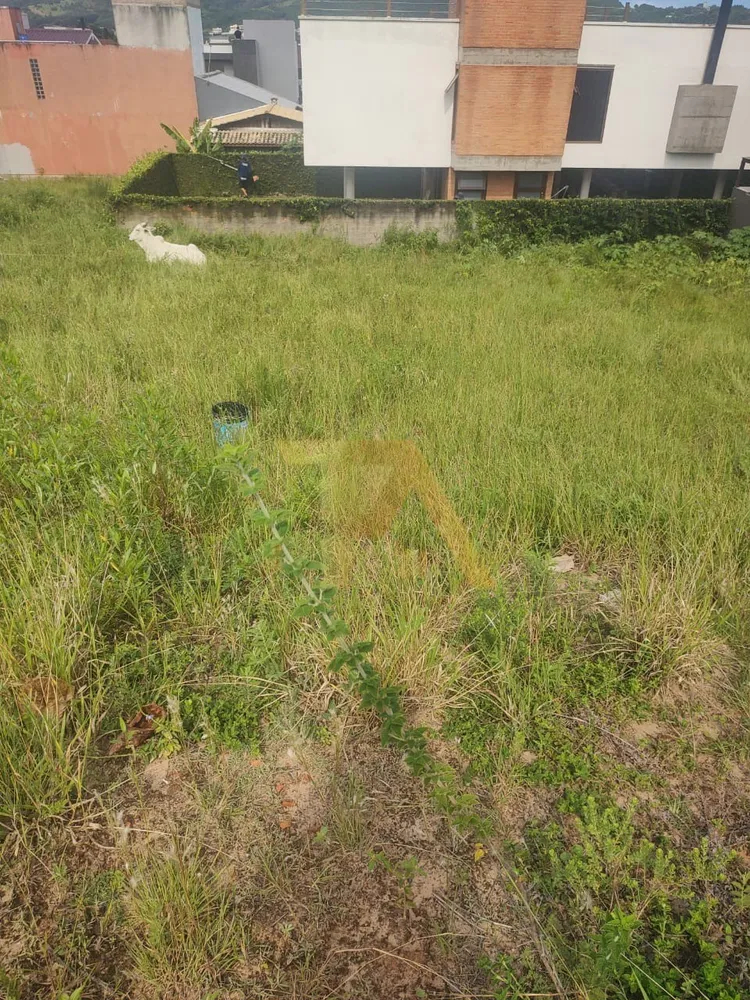 Terreno, 299 m² - Foto 2