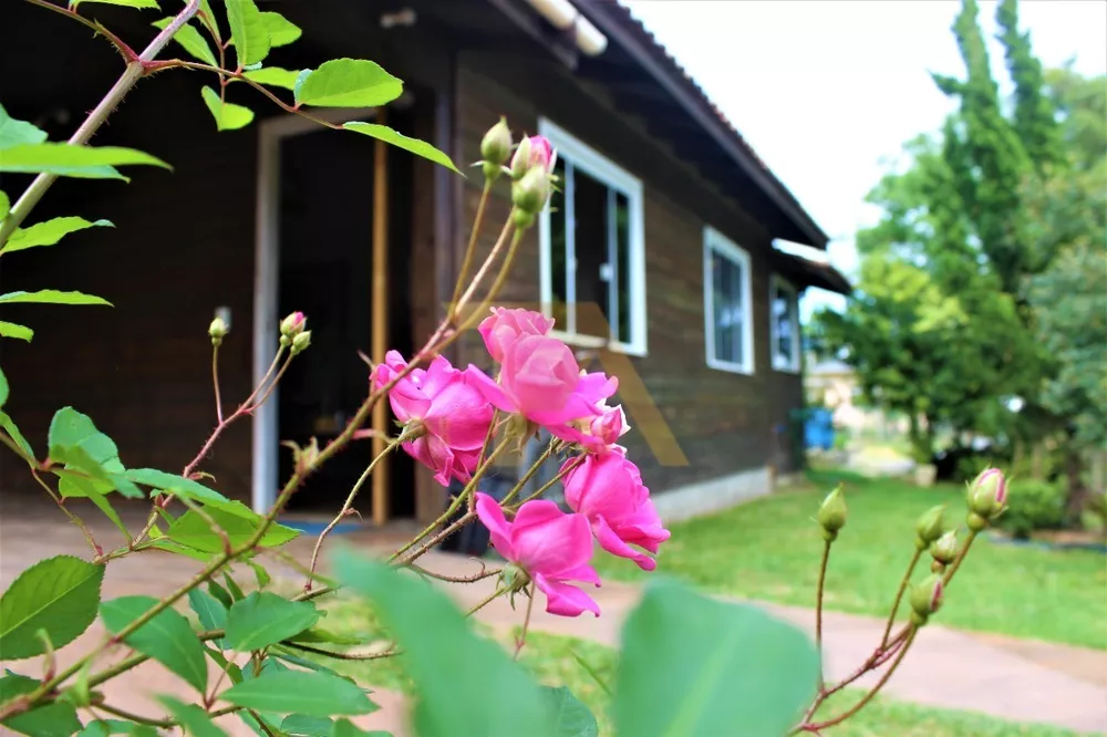 Casa à venda com 2 quartos, 90m² - Foto 1