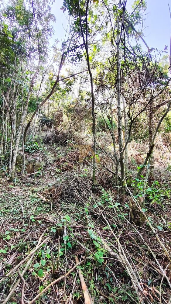 Terreno, 4800 m² - Foto 8