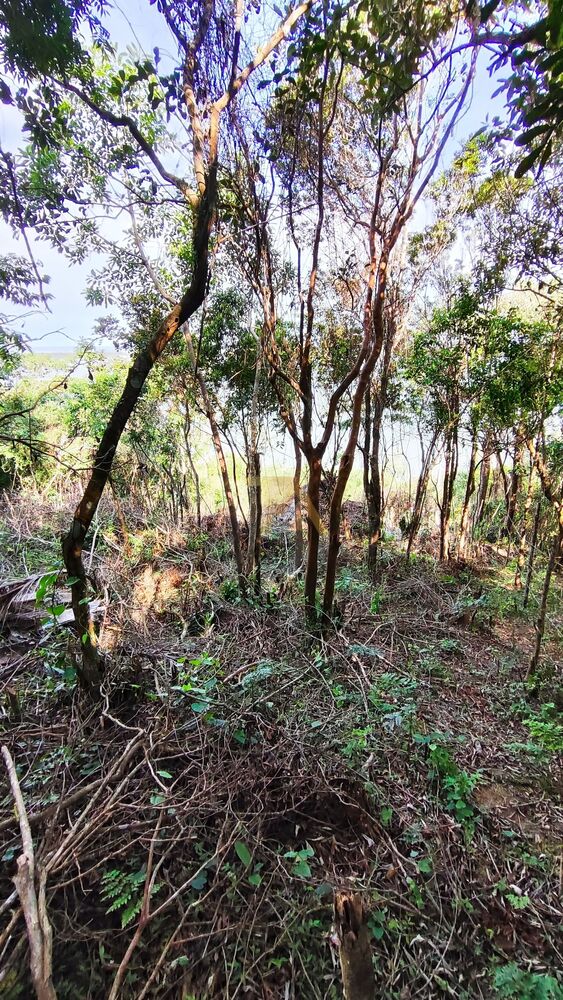 Terreno, 4800 m² - Foto 9