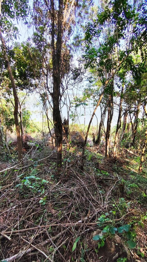 Terreno, 4800 m² - Foto 10