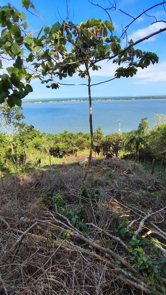 Terreno, 4800 m² - Foto 12