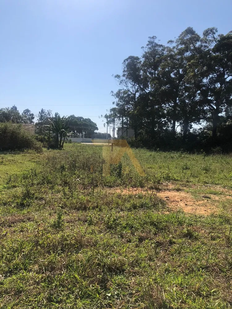 Terreno, 1000 m² - Foto 5