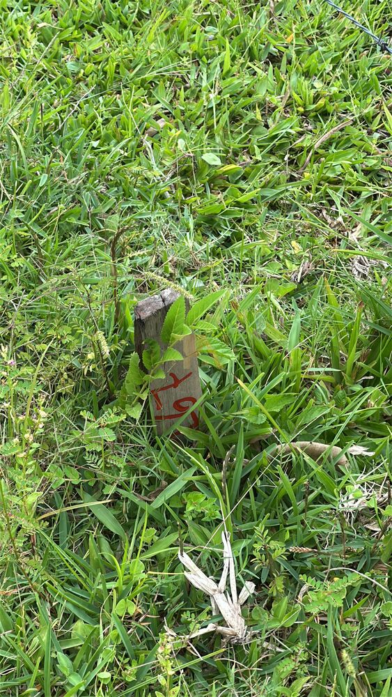 Terreno, 350 m² - Foto 5