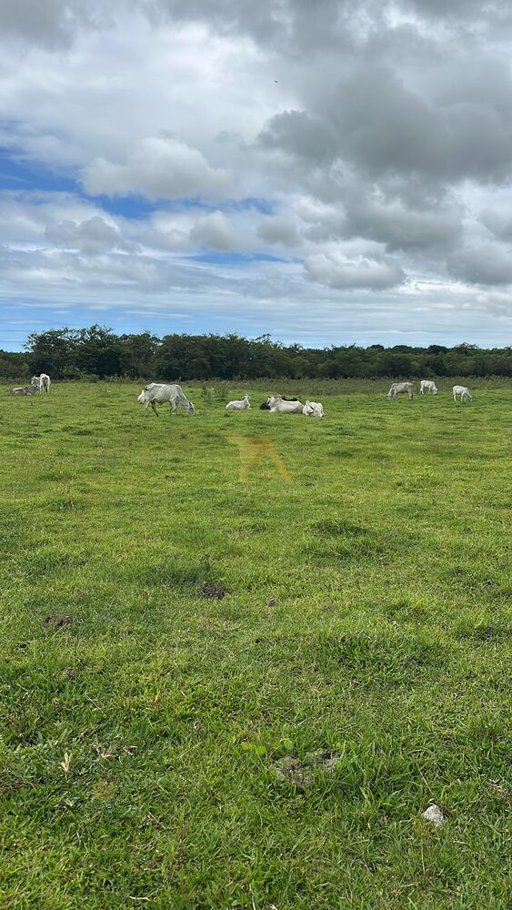 Terreno, 350 m² - Foto 6