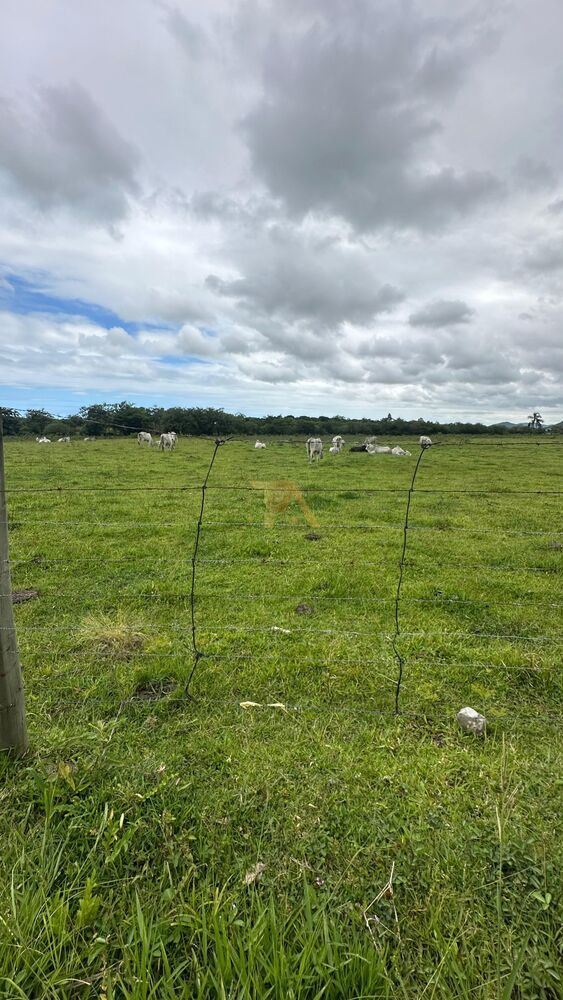 Terreno, 350 m² - Foto 2