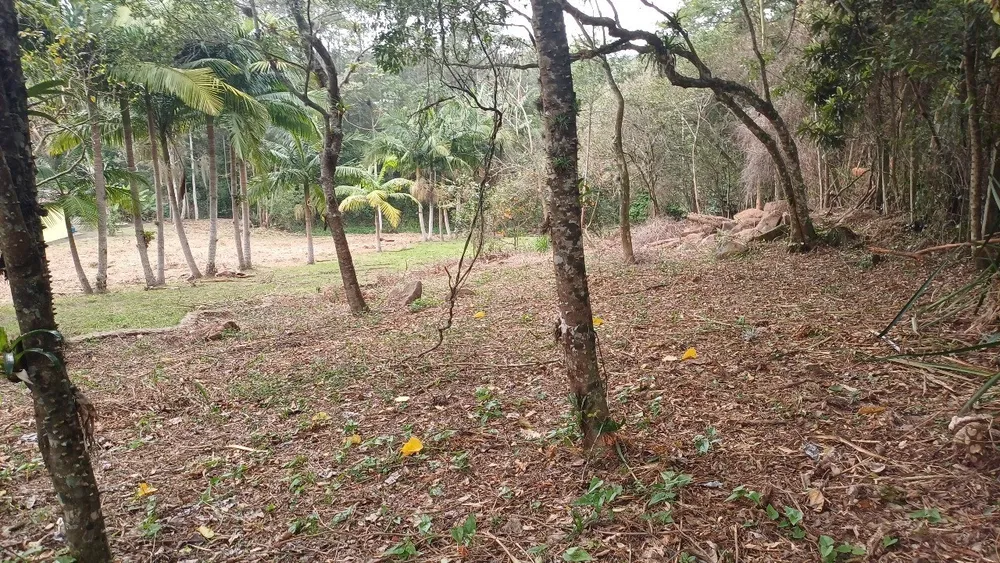 Terreno, 1528 m² - Foto 6