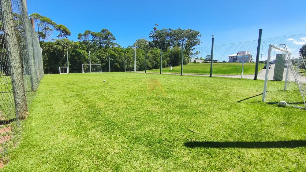 Terreno, 1016 m² - Foto 6