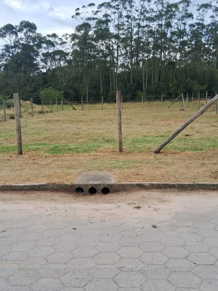Terreno, 391 m² - Foto 1