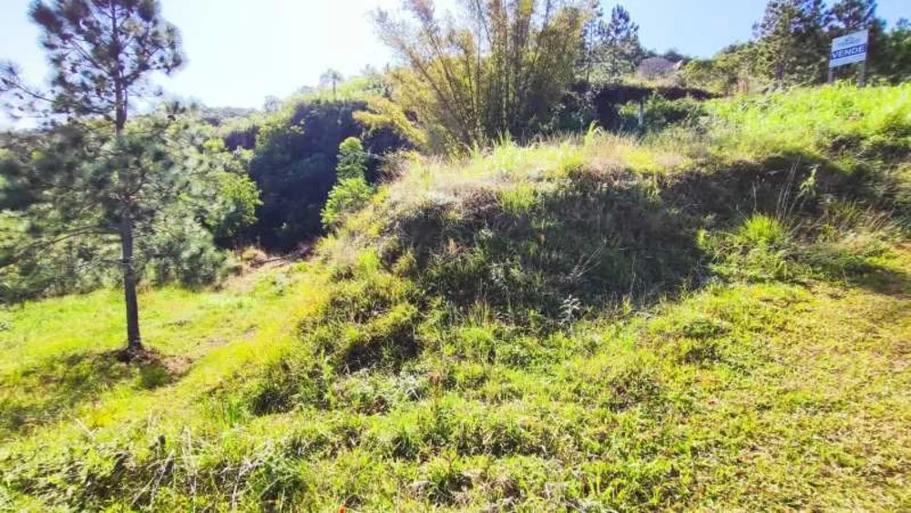 Terreno, 2640 m² - Foto 13