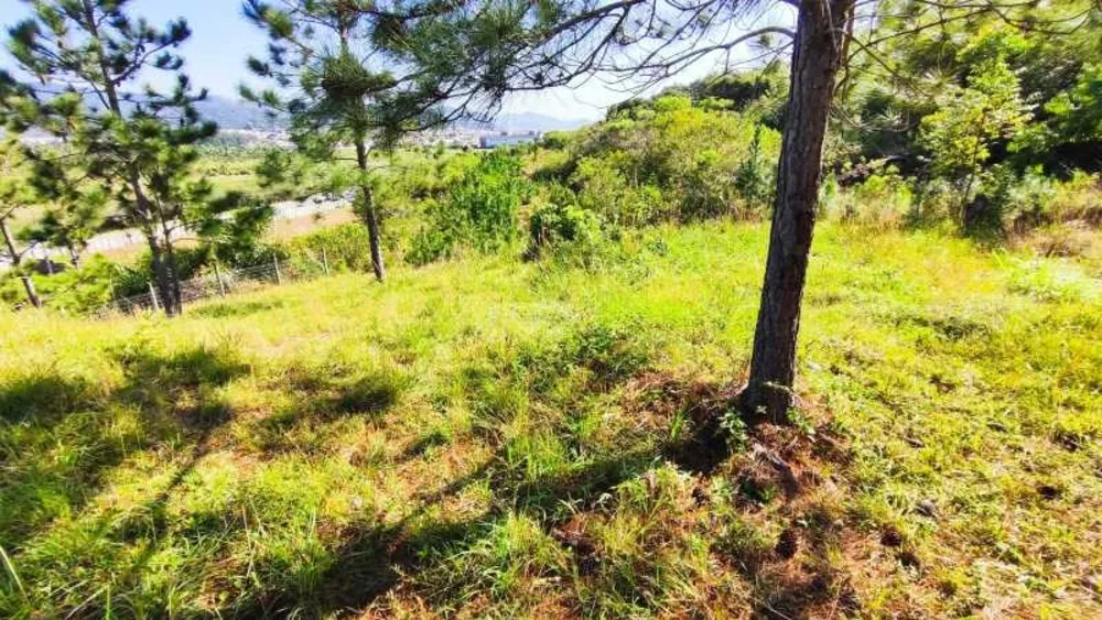 Terreno, 2640 m² - Foto 14