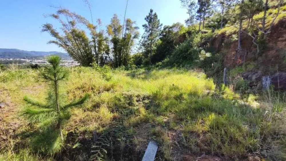 Terreno, 2640 m² - Foto 10