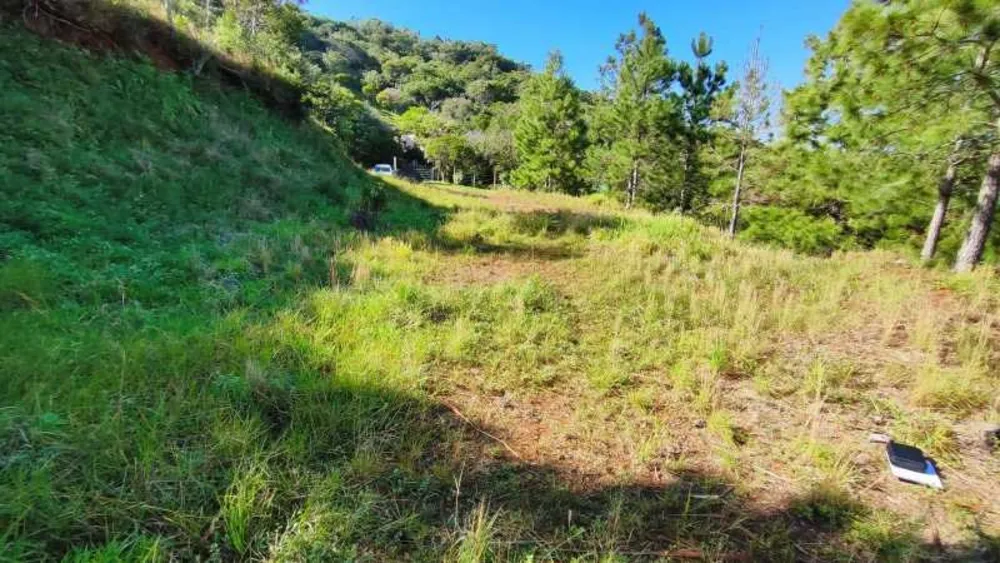 Terreno, 2640 m² - Foto 8