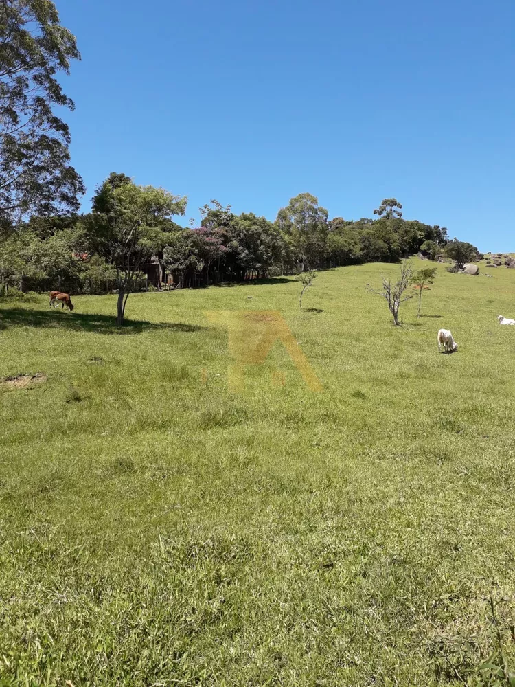 Terreno à venda, 14260m² - Foto 2