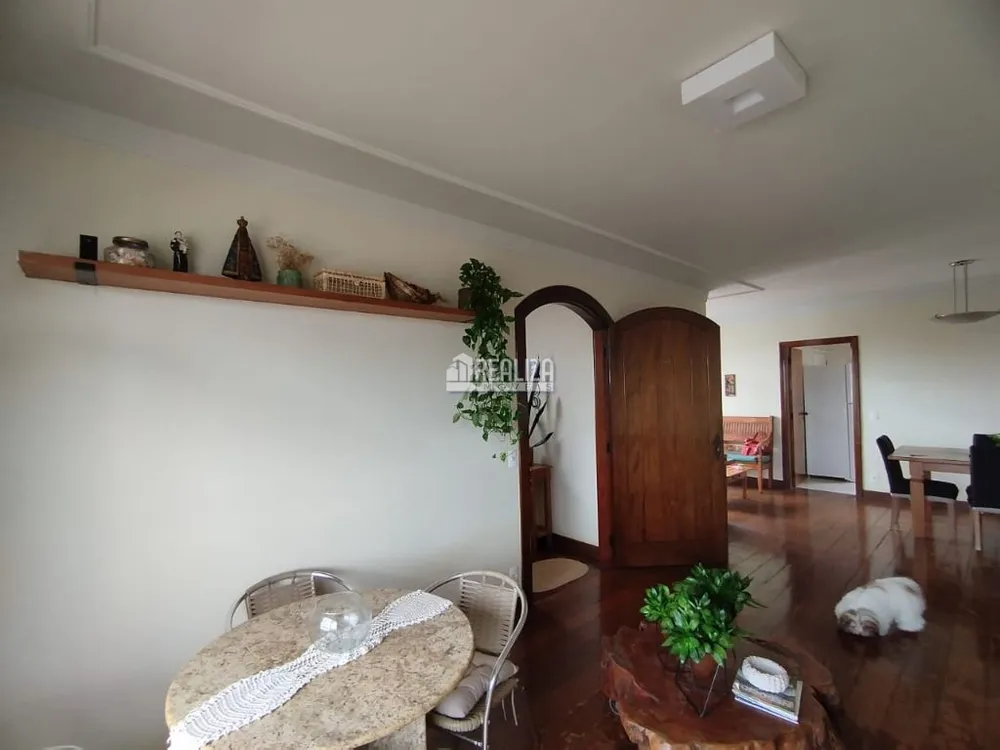 Apartamento, 4 quartos, 270 m² - Foto 19