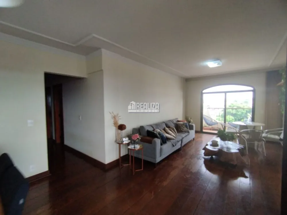 Apartamento, 4 quartos, 270 m² - Foto 14