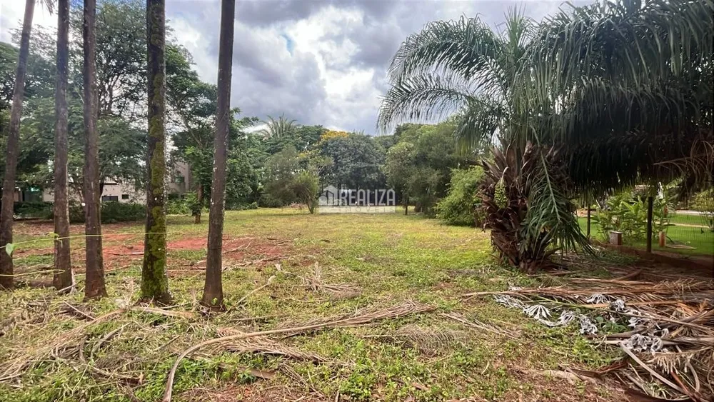 Terreno, 3700 m² - Foto 5
