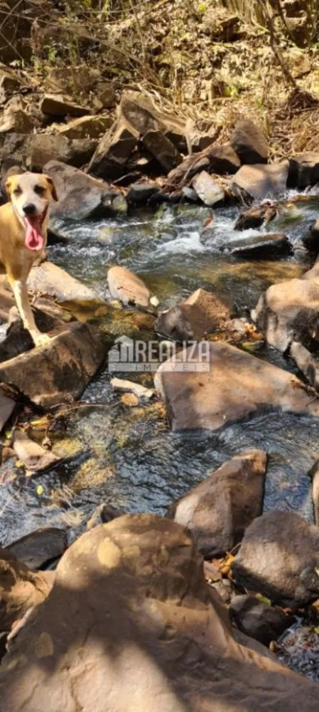 Chácara, 2 quartos, 29 hectares - Foto 35