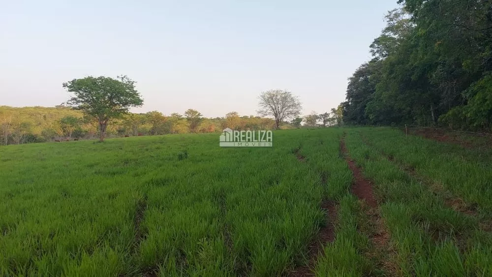 Chácara, 2 quartos, 29 hectares - Foto 34