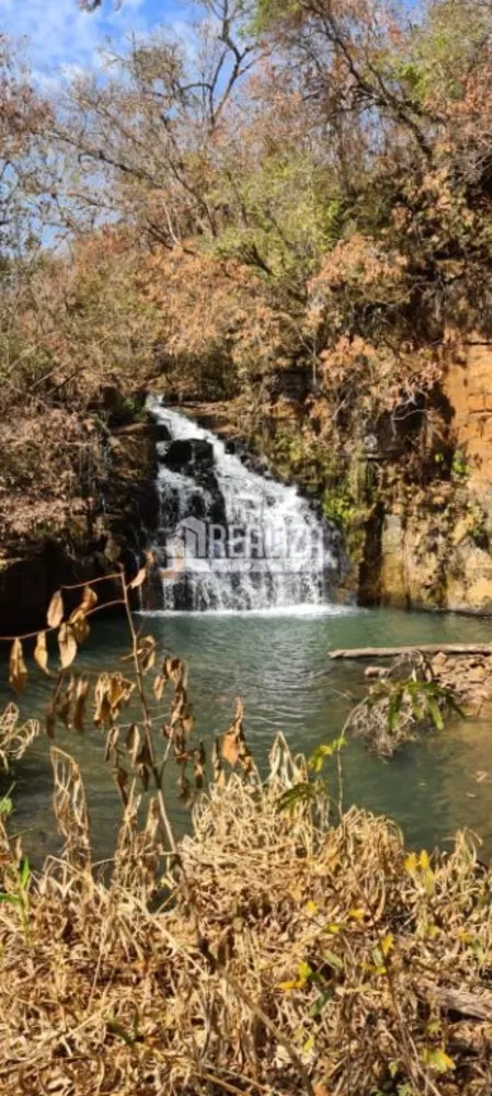 Chácara, 2 quartos, 29 hectares - Foto 22