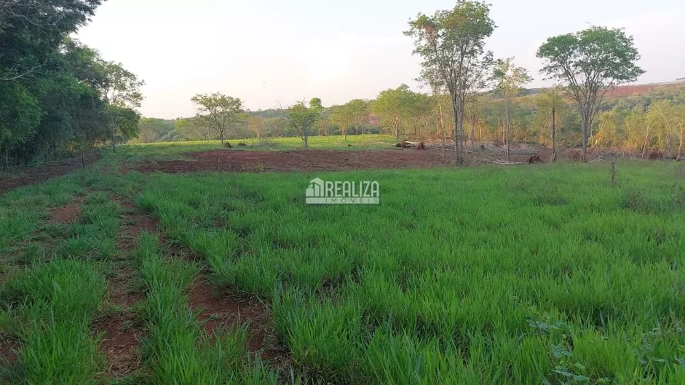 Chácara, 2 quartos, 29 hectares - Foto 7