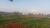 Fazenda-Sítio-Chácara, 29 hectares - Foto 8