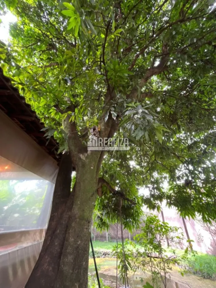 Chácara, 4 quartos, 914 m² - Foto 11