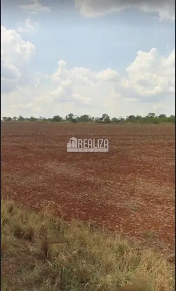 Sítio, 13 m² - Foto 9