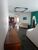 Casa, 4 quartos, 240 m² - Foto 2