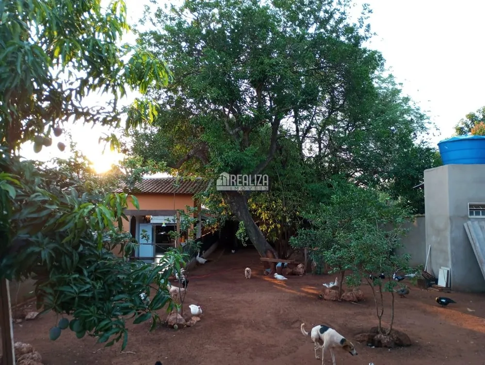 Chácara, 3 quartos, 954 m² - Foto 7