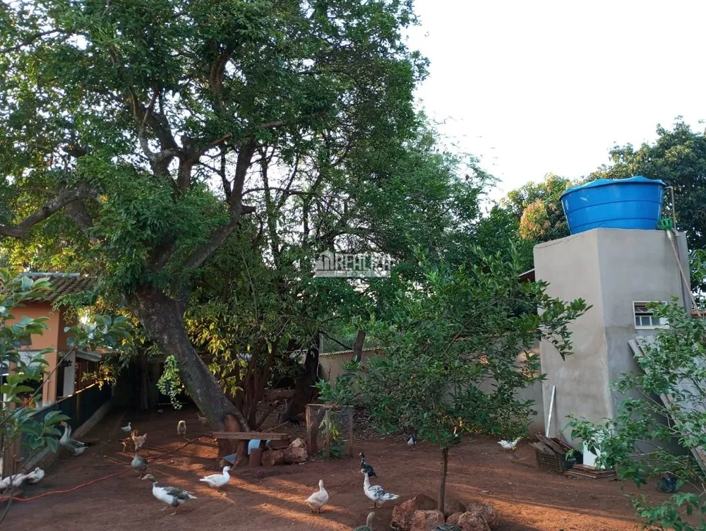 Chácara, 3 quartos, 954 m² - Foto 4