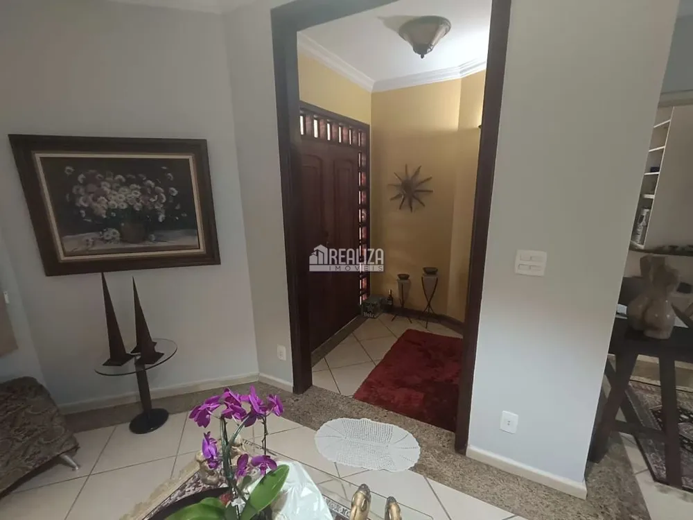 Casa, 4 quartos, 250 m² - Foto 4